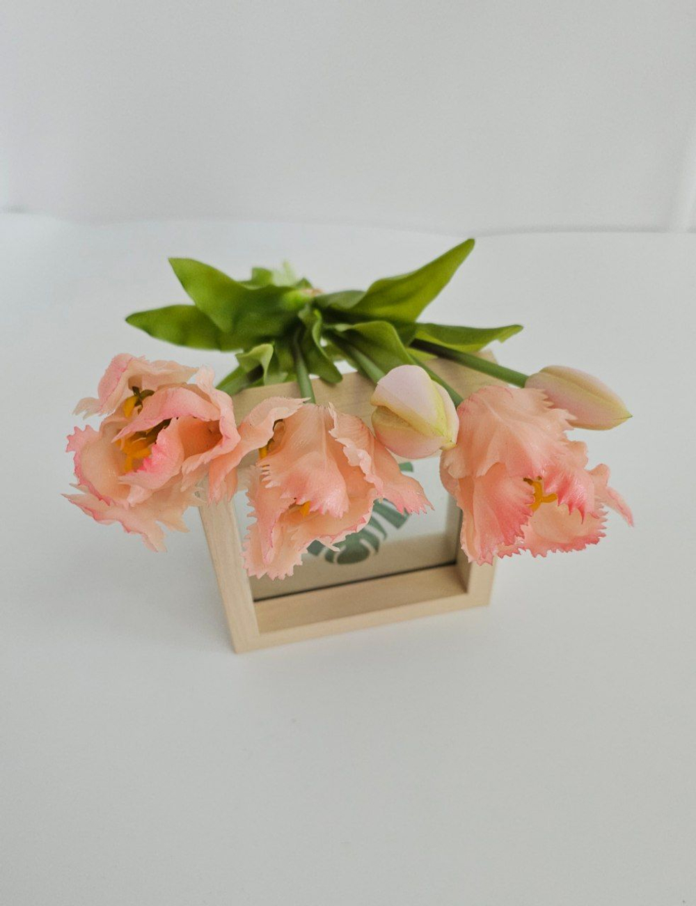 Тюльпаны бахромчатые / Арт 2545