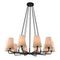 Подвесная люстра Favourite Pfefferling 2364-10P