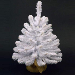 Ель 45 см Triumph Tree Атлантическая в мешочке Голландия вид