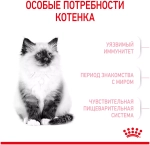 Royal Canin Kitten Сухой корм Роял Канин для котят, 1,2 кг