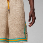 Шорты Jordan Jordan x UNION Logo, FD4243-237