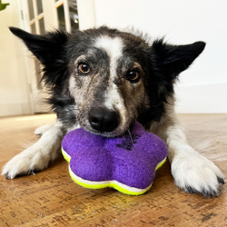 KONG AirDog Игрушка для собак Squeaker Paw M (Лапка)