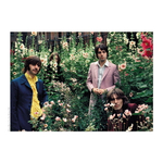 The Beatles: Tom Murray’s Mad Day Out / Paul Skellett, Tom Murray, Simon Weitzman