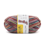 Regia Anniversary Color 4 ply - 04072 (toby color)