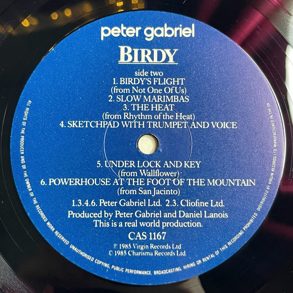 Винтажная виниловая пластинка LP Peter Gabriel Birdy (UK 1985) Floating Dogs