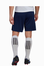 Шорты adidas Entrada 22 Training