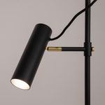 Напольный светильник (торшер) Maytoni MOD129FL-01B