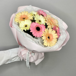 Моно букет из Гербер в нежной упаковке