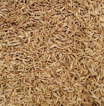 Кумин семя (Зира) Индия В/С 100 гр