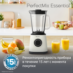 Стационарный блендер Moulinex LM771AF0