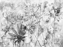 Коллекция AQUARELLE