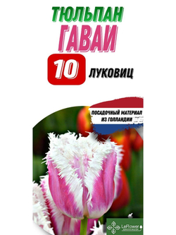 Тюльпан Луковица, Гаваи, 10шт