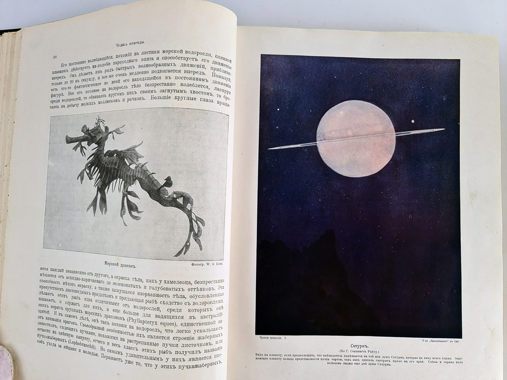 "Чудеса природы. Популярные очерки, посвященный описанию любопытнейших явлений и достопримечательностей трех царств природы. В 2-х томах". В.М.Шимкевич. 1915г. - антикварная книга