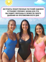 Набор Зубных паст Папайя и Масло Гвоздики, 2*30 гр.