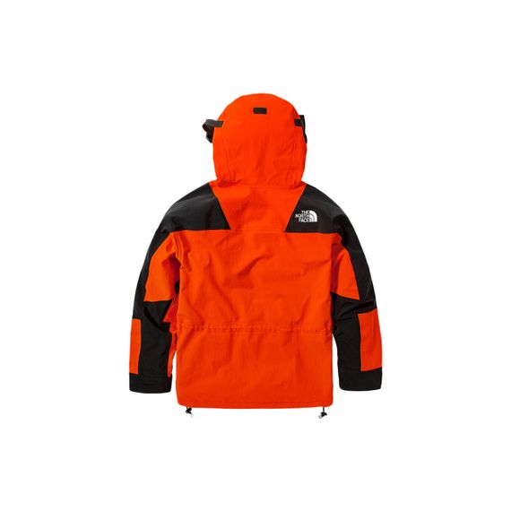 THE NORTH FACE 1994 1994 Retro Mountain Light Futurelight™ Jacket