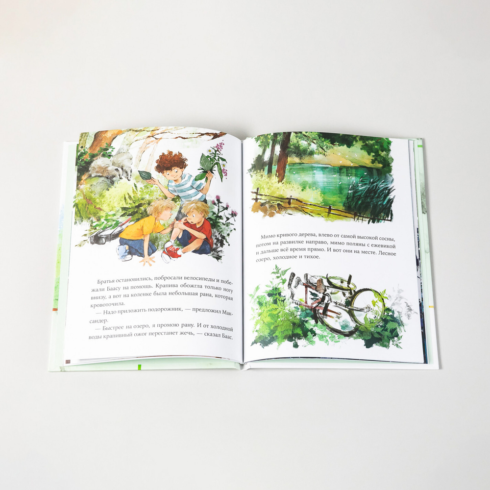 Однажды в Симплвельде. Волшебные камни Бааса