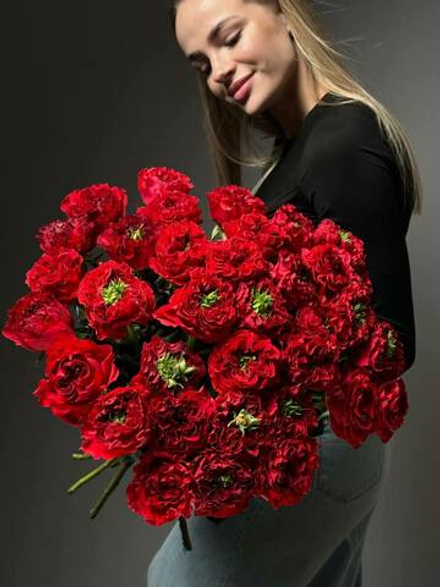 Букет из 35 красных пионовидных роз под ленту