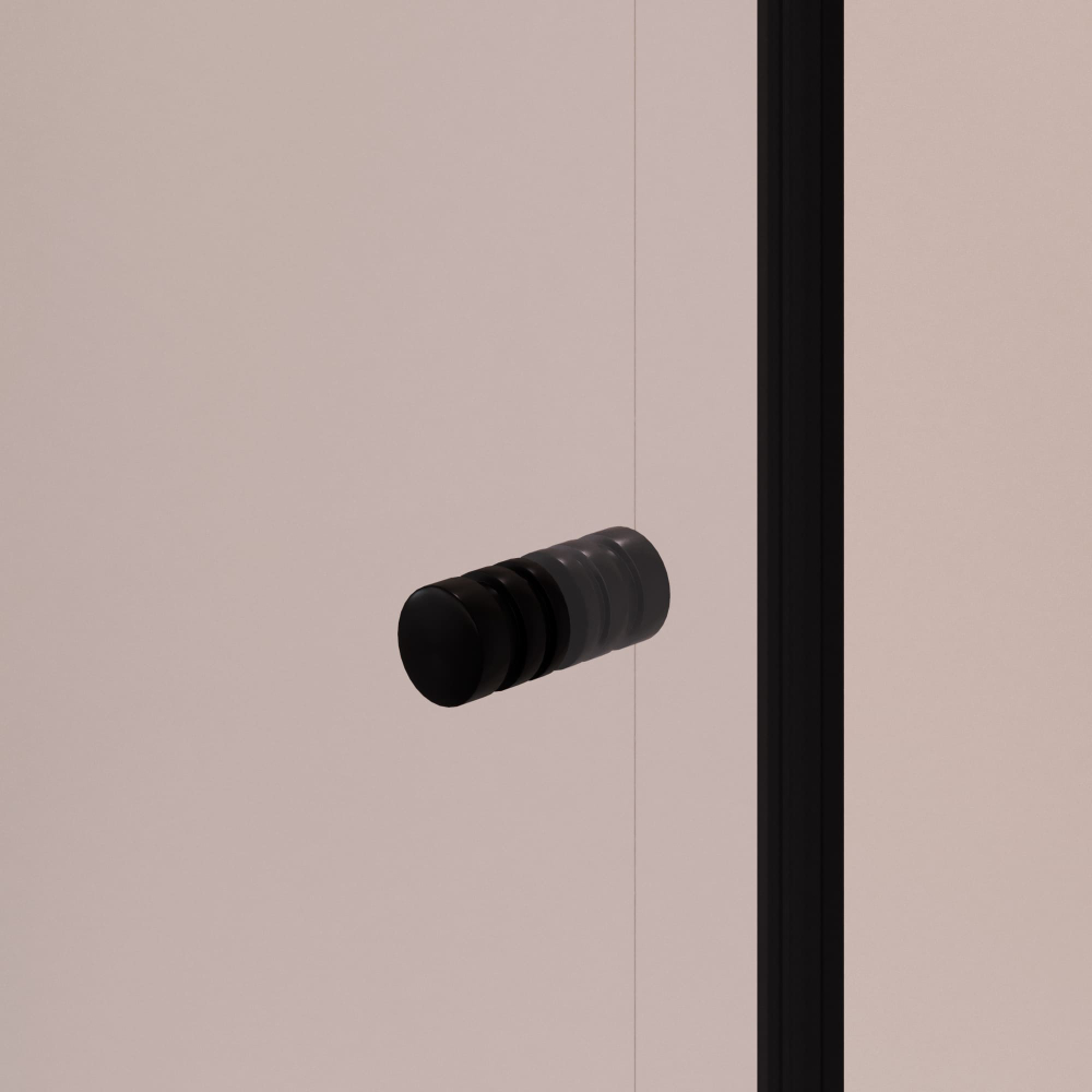 Душевая дверь RGW PA-02B NEW (Прозрачное, 800)