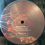 Soundgarden / Superunknown: The Singles (5x10" Vinyl Single)