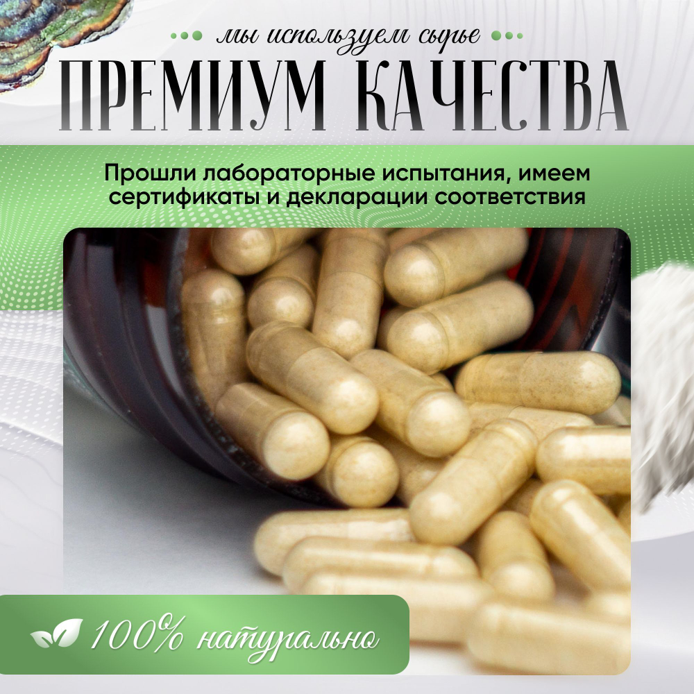 Траметес разноцветный капсулы 180 штук