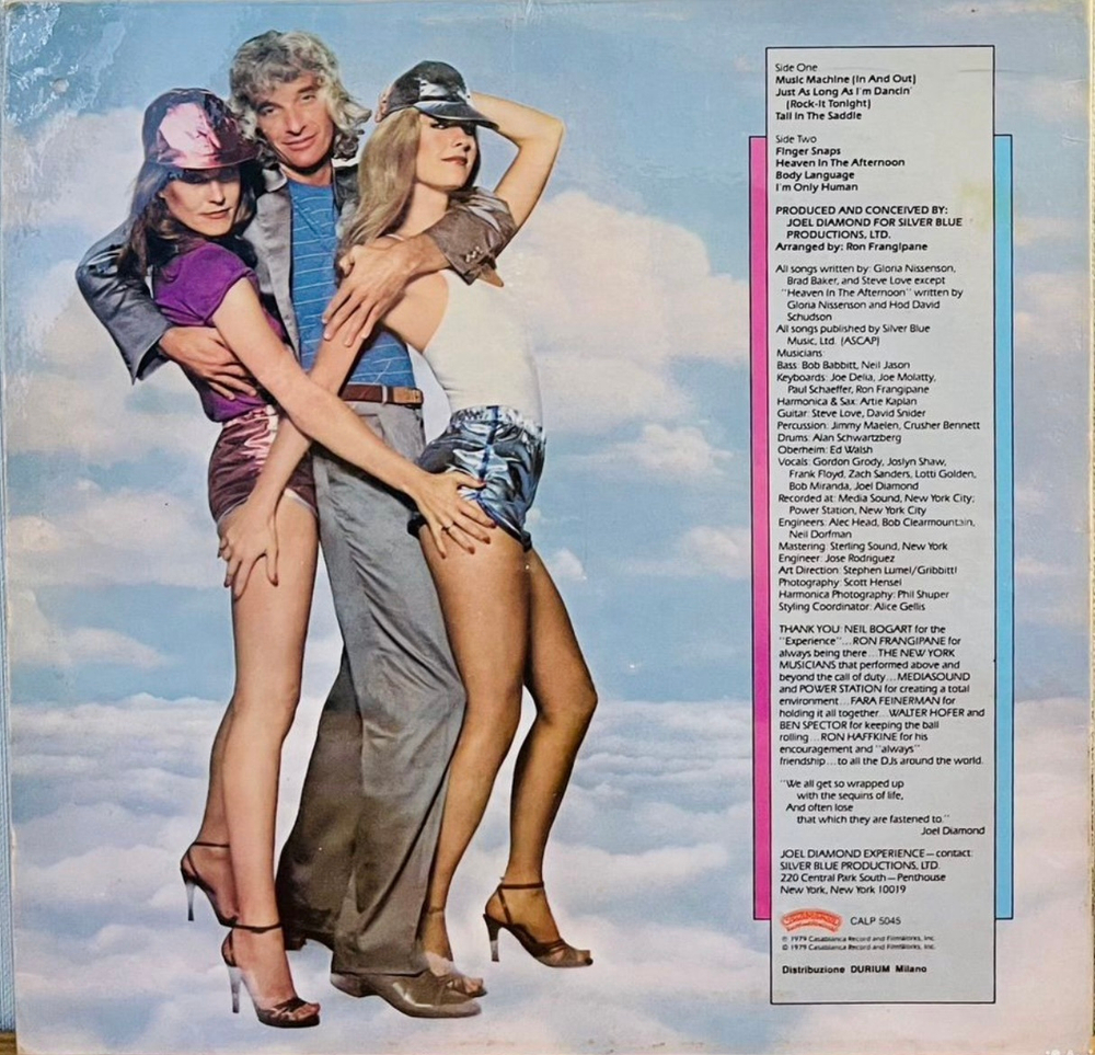 Joel Diamond - Experience