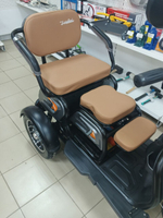 Трицикл Электроскутер 1000W 20Ah