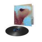 Pink Floyd / Meddle (LP)
