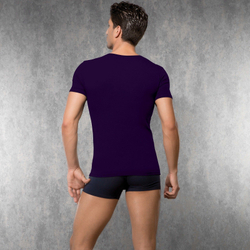 Мужская футболка с глубоким вырезом фиолетовая Doreanse 2820