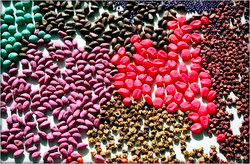 Протравители семян