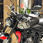 Triumph Trident 660 Gray