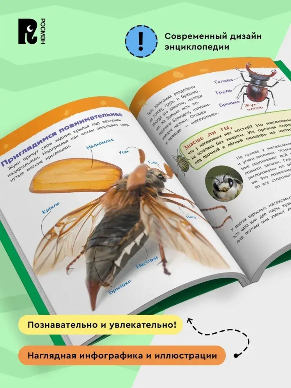 Энциклопедия для детского сада "Насекомые"