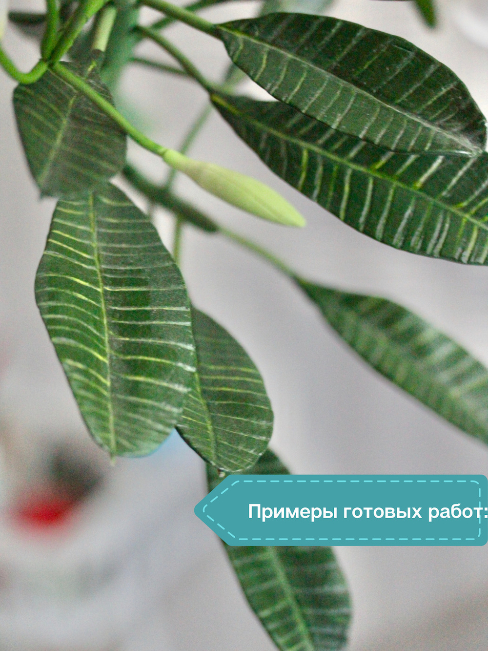 Молд F для лепки /пластиковая форма Лист Плюмерии Франжипани CLAYCRAFT BY DECO