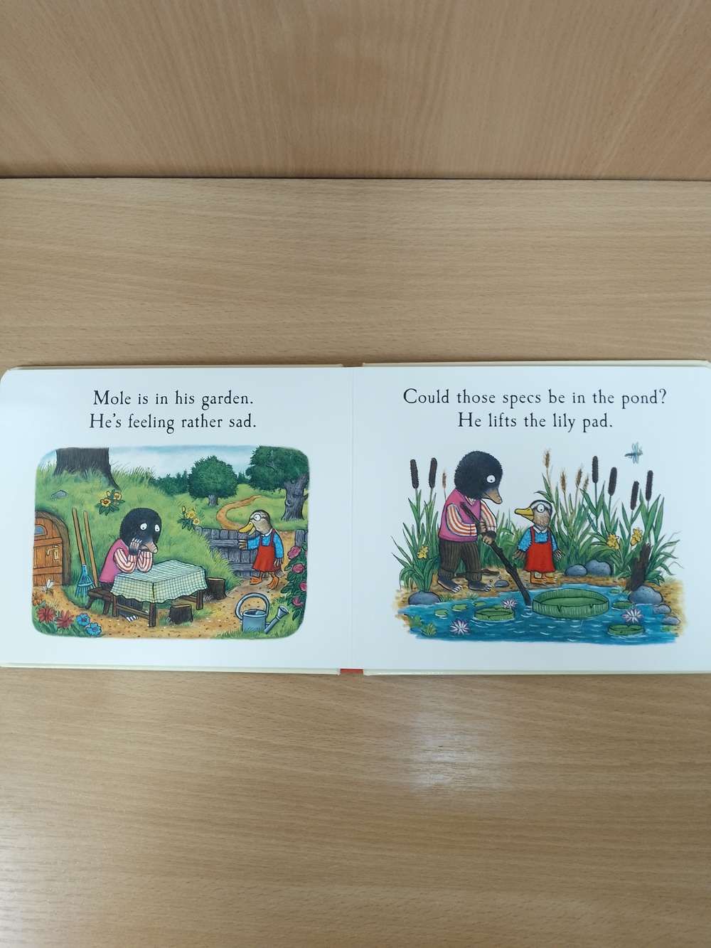 Mole's Spectacles (Julia Donaldson)