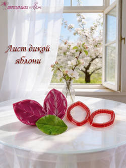 Лист дикой яблони