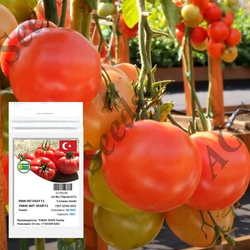 Пинк Хит (Эрай) F1 томат Yuksel Seeds  профессиональные семена