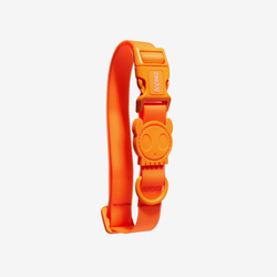 Ошейник NEOPRO TANGERINE Zee.Dog