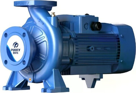 Моноблочный насос PURITY PSTG 100-200/300 100601427