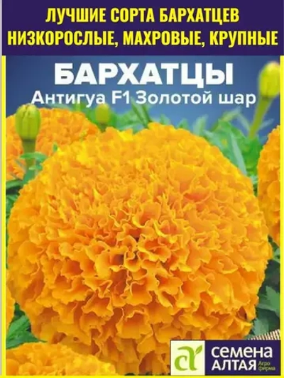 Семена бархатцев Антигуа F1 Золотой шар 5 шт