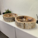 Раковина из окаменелого дерева OD-62102 56*47*15