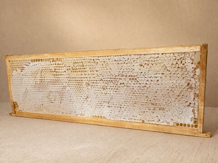 Мёд цветочный в мини- сотах разнотравный, Алтайский край, 385-490 гр.