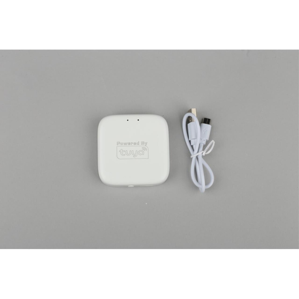 Шлюз управления Aployt Magnetic track 220 APL.0295.00.01