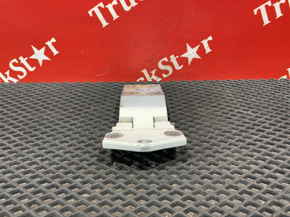 Петля двери 2020г