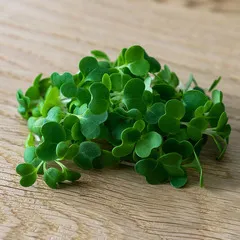 Пак Чой на корне (лоток) / 40 гр