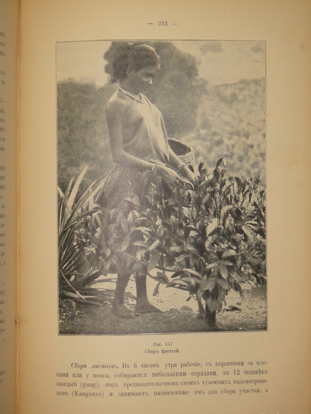 "Среди патриархов земледелия народов Ближнего и Дальнего Востока ( Египет, Индия, Цейлон, Китай и Япония ). В 3-х томах". И.Н.Клинген. 1899г.