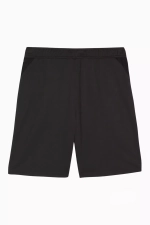 Шорты Puma teamGOAL Training