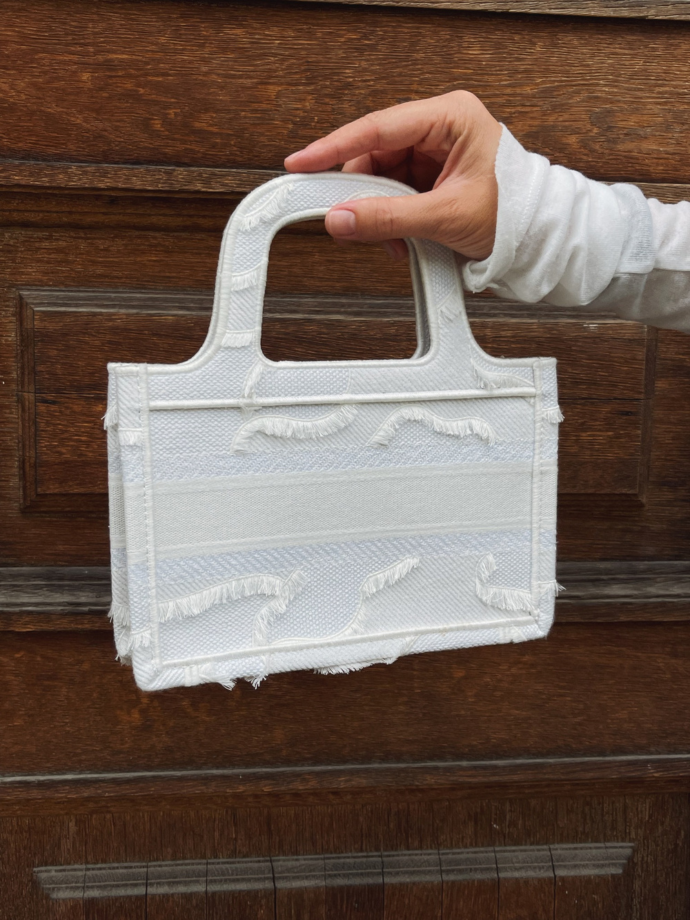Dior Book Tote Mini