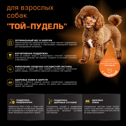 Корм сухой для взрослых собак породы Той-пудель, с индейкой, 800 гр, QUATTRO