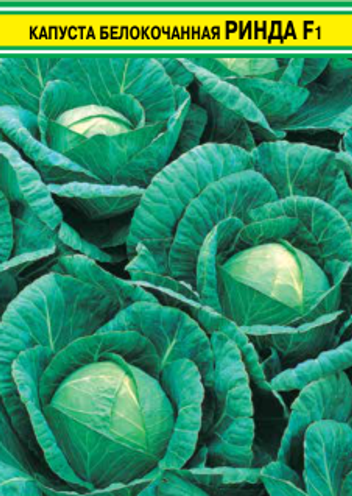 Капуста белокочанная Ринда F1