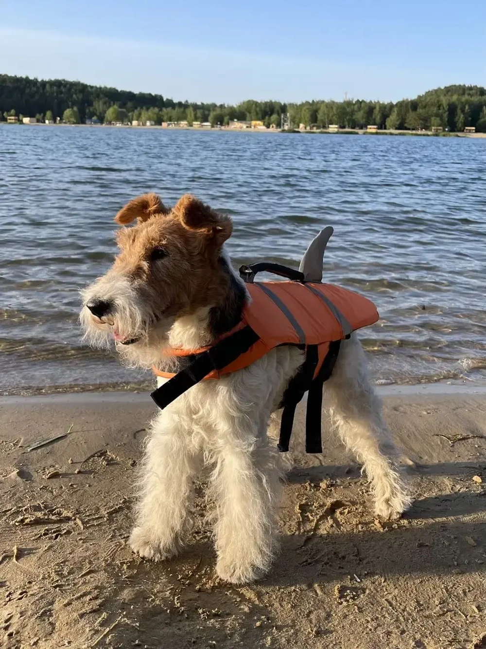 Спасательный жилет для собак и всех животных
