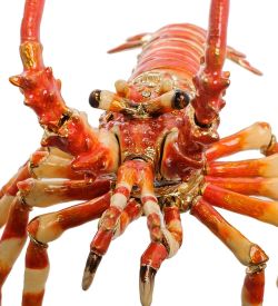 Nobility JB- 57 Шкатулка «Лобстер» малый